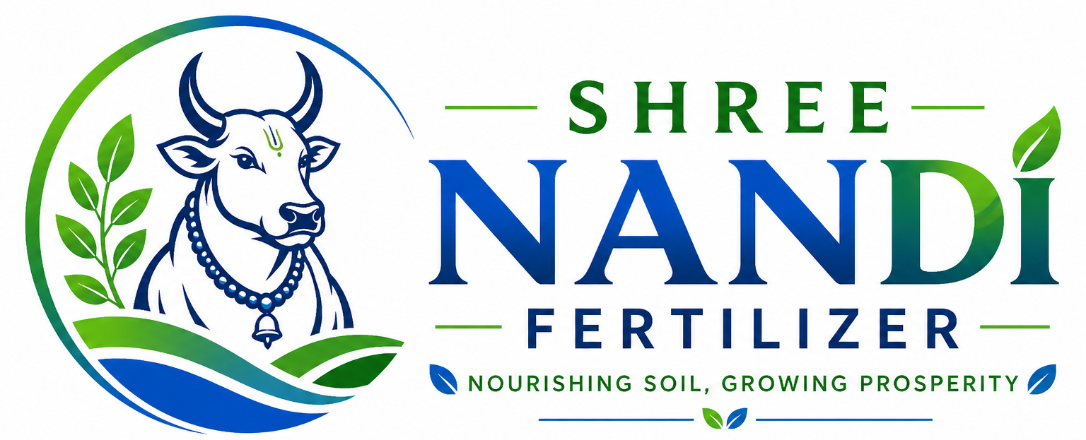 nandi-logo